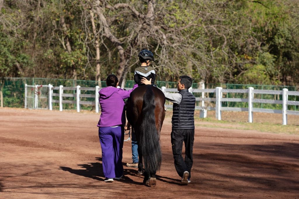 Terapeutas guiando a un caballo